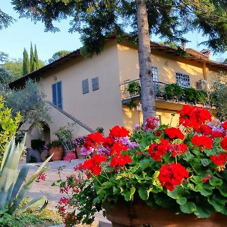 Ulivi Di Castello Bed and Breakfast Florens Exteriör bild