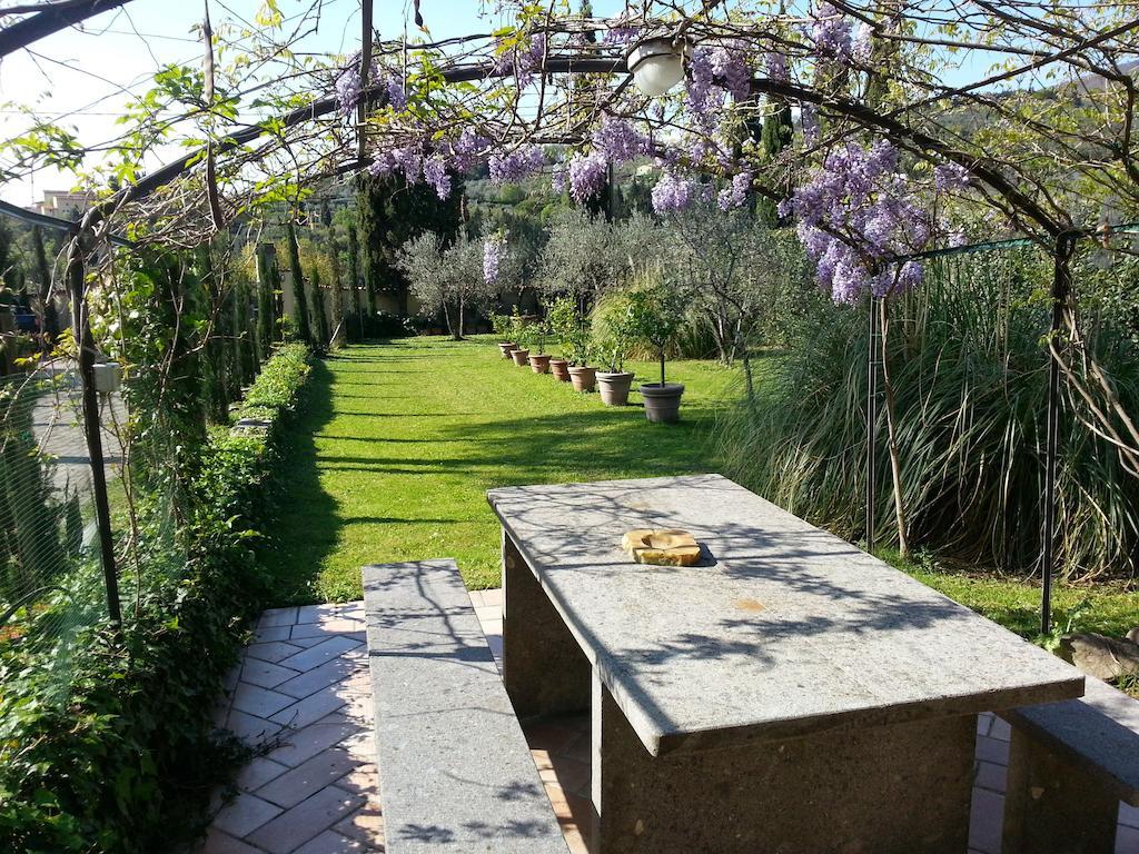 Ulivi Di Castello Bed and Breakfast Florens Exteriör bild